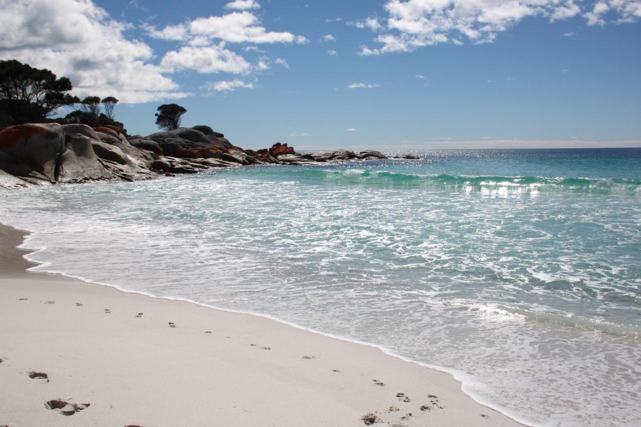 Sea Eagle Cottage Amazing Views Of Bay Of Fires Binalong Bay ภายนอก รูปภาพ